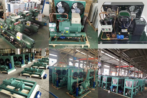 bitzer condensing unit
