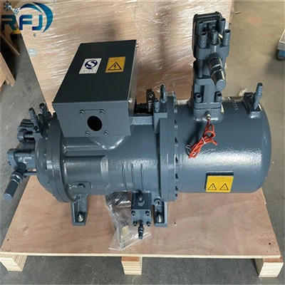 Kompresor Sekrup Untuk Hanbell RC2